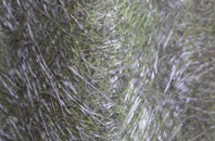 Old Philpstoun fibreglass roof work